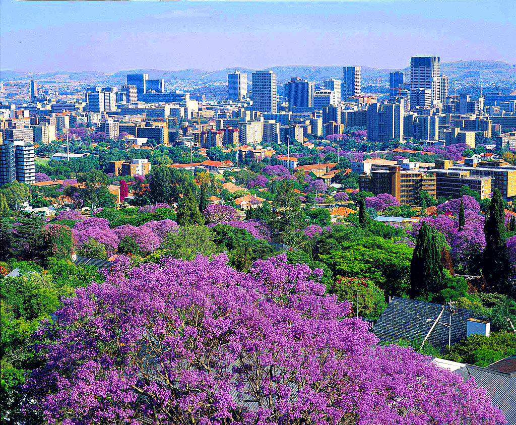 KhÁm PhÁ Nam Phi 2024 Johannesburg Pretoria Cape Town